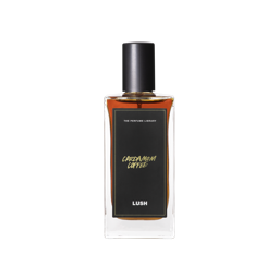 Lush Cardamom Coffee Fragrance
