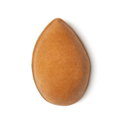 Lush Pumice Power Oil
