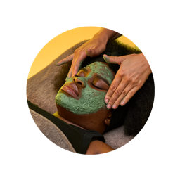 Lush Fresh Facial Spa Treatment